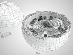 Plasma Cell Model 3D