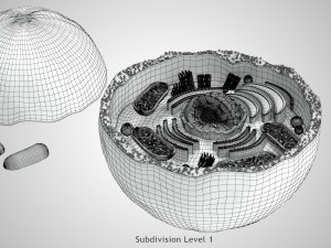 Plasma Cell Model 3D