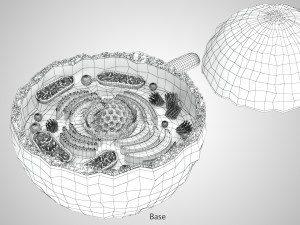 Plasma Cell Model 3D