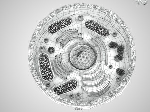 Plasma Cell Model 3D