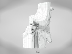 Ear Anatomy Modelo 3D
