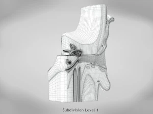Ear Anatomy 3D Model