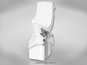 Ear Anatomy Modelo 3D