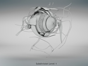 Eye Anatomy 3D Model