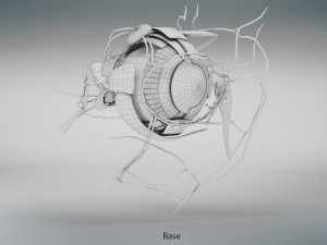 Eye Anatomy 3D Model