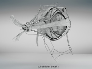 Eye Anatomy 3D Model