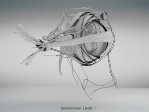 Eye Anatomy 3D Model