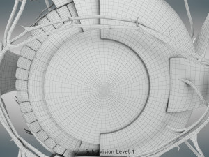 Eye Anatomy 3D Model