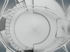 Eye Anatomy 3D Model