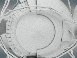 Eye Anatomy 3D Model