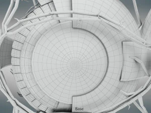 Eye Anatomy 3D Model