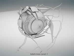 Eye Anatomy 3D Model