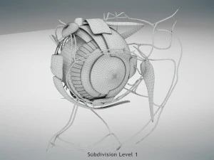 Eye Anatomy 3D Model
