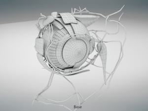 Eye Anatomy 3D Model
