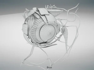 Eye Anatomy 3D Model