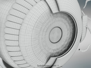 Eye Anatomy 3D Model