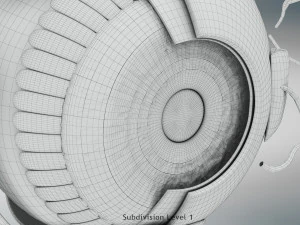 Eye Anatomy 3D Model