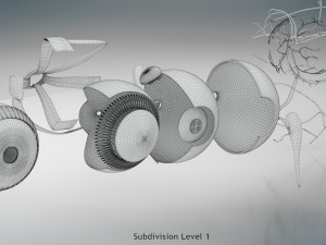 Eye Anatomy 3D Model