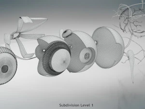 Eye Anatomy 3D Model