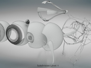 Eye Anatomy 3D Model