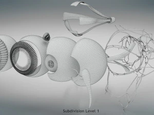 Eye Anatomy 3D Model