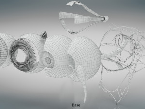 Eye Anatomy 3D Model