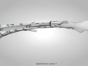 Bone Anatomy 3D Model