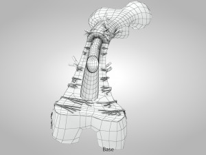 Bone Anatomy 3D Model