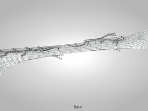 Bone Anatomy 3D Model