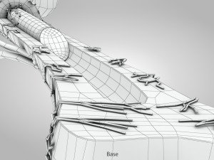Bone Anatomy 3D Model