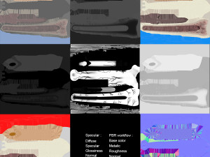 Bone Anatomy 3D Model