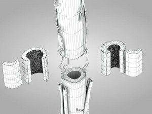 Bone with Healthy and Osteoporotic Section Modelo 3D