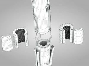 Bone with Healthy and Osteoporotic Section 3D Model