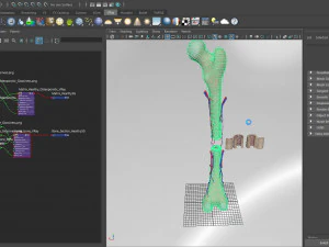 Bone with Healthy and Osteoporotic Section 3D Model