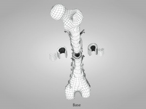 Bone with Healthy and Osteoporotic Section Modelo 3D