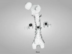 Bone with Healthy and Osteoporotic Section 3D Model