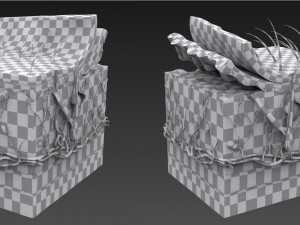 Skin Parts Anatomy 3D Model