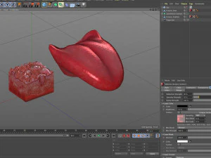 Язык с подробным разрезом 3D Модель