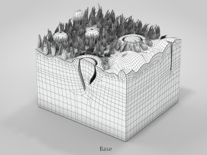 Tongue with Detailed Cross-section 3D Model