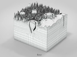 Язык с подробным разрезом 3D Модель