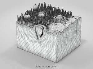Tongue with Detailed Cross-section 3D Model