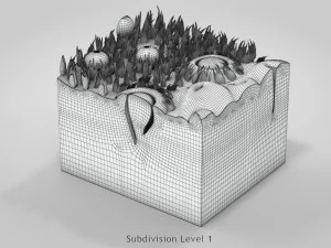 Язык с подробным разрезом 3D Модель