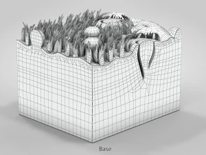 Язык с подробным разрезом 3D Модель