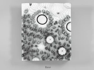 Язык с подробным разрезом 3D Модель