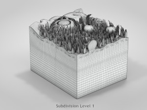 Tongue with Detailed Cross-section 3D Model