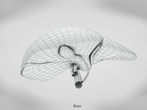 Liver Anatomy Modèle 3D