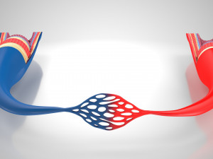 Blood Vessels 3D Model