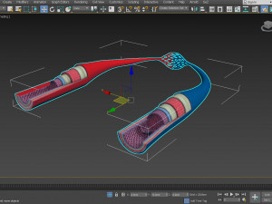 Blood Vessels 3D Model