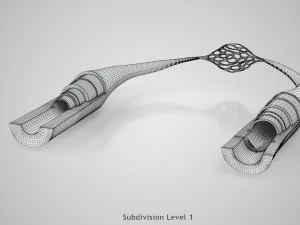 Blood Vessels 3D Model