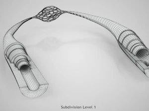 Blood Vessels 3D Model